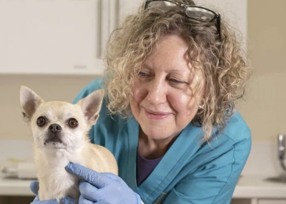 How Thrums Utilised PetsApp to Evolve Their Customer Service Experience