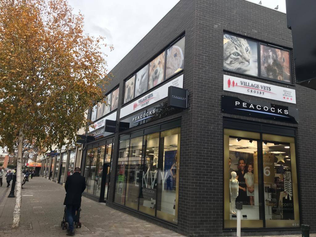 How Village Vets maintain community interaction